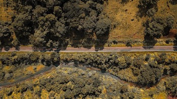 Bird's Eye View Of Road Surrounded By Trees