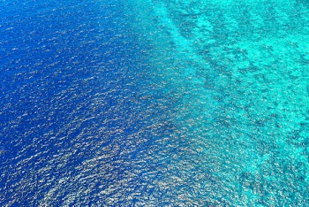 Bird's Eye View of Sea Water