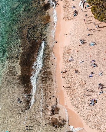 Bird's Eye View Of Seaeshore
