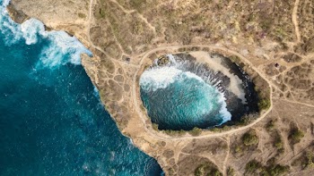 Bird's-Eye View of Seashore
