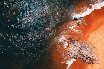 Bird's Eye View of Seashore