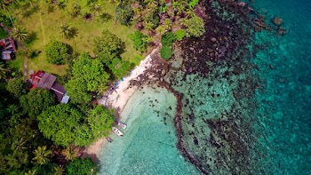 Bird's Eye View of Seashore