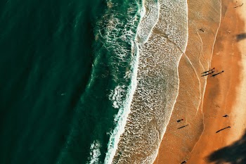 Bird's Eye View of Seashore