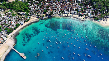 Bird's Eye View of Seashore