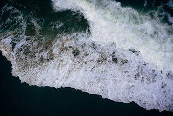 Bird's-eye View of Seashore