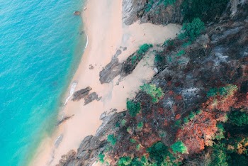 Bird's Eye View of Seashore