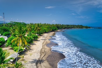 Bird's Eye View Of Seashore During Daytime