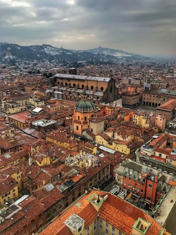 Bird's Eye View Of Town During Daytime