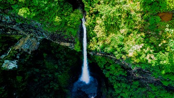 Bird's Eye View of Waterfalls