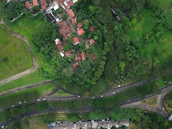 Bird's Eye View OfHouses Surrounded By Trees