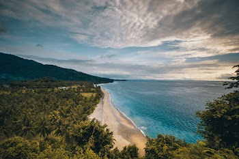 Bird's Eye View Photo of Brown Sand Beach Shore