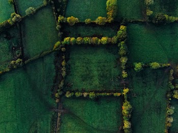 Bird's Eye View Photo Of Cropland