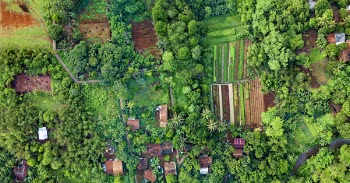 Bird's Eye View Photography of Fields Surrounded With Trees