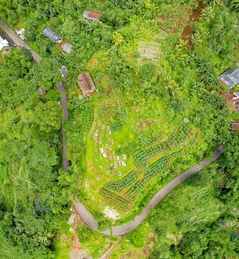 Bird's Eye View Photography of Green Land