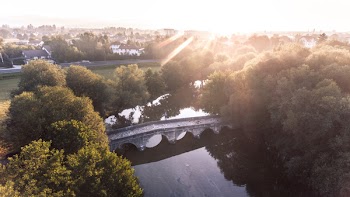 Bird's Eye View Photography of Green Leafed Tree Placed Near Bridge