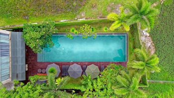 Bird's Eye View Photography Of Outdoor Pool