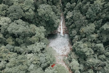 Bird's-eye View Photography Waterfalls Surrounded by Trees