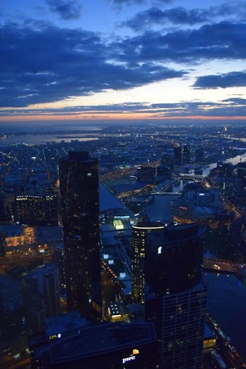 Bird's Eyeview Photography of City Landscape