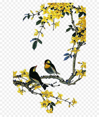 Bird-and-flower painting Chinese painting - Chinese painting flowers and birds 