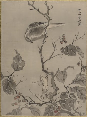 Bird and Frog by Wanabe | Free Photo - rawpixel