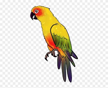 Bird, Animal, Birds, Nature, Feather, Parrot, Yellow - ภาพ นก แก้ว Png
