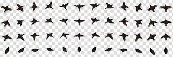 Bird Animation Computer Icons , Bird Animation transparent background PNG clipart