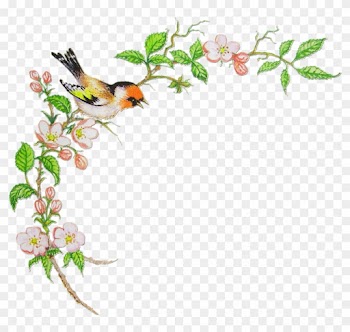 Птичка На Ветке - Bird Backgrounds And Frames