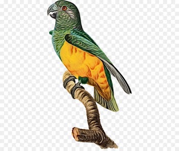 bird beak animal figure parrot figurine