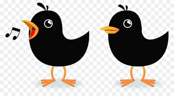 bird beak clip art blackbird