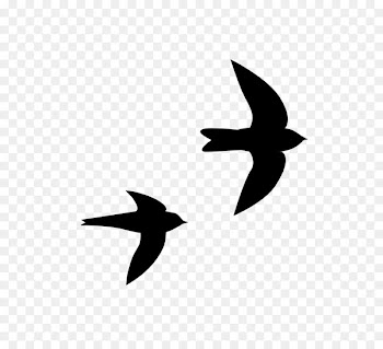 Bird Beak Swifts Silhouette Clip art -  