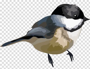 Bird Beak Watercolor painting , Bird transparent background PNG clipart