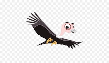 bird bird of prey vulture cartoon beak