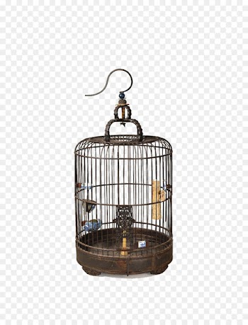 Bird, Birdcage, Cage, Bird Supply PNG