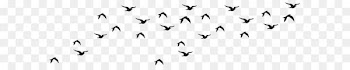 Bird Black and white Logo - Birds Flock Silhouette Clip Art Image 