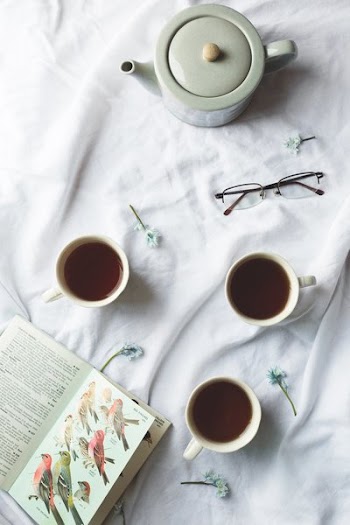 Bird Book And Tea Time