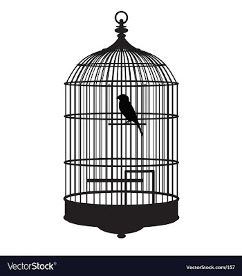 Bird cage vector image