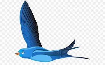 Bird Cartoon Clip art - Blue Bird Cartoon Transparent Clip Art PNG Image 