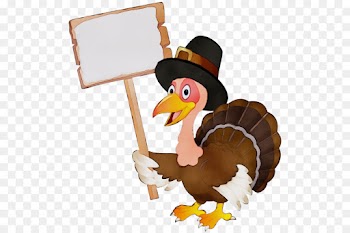 bird cartoon flightless bird turkey beak