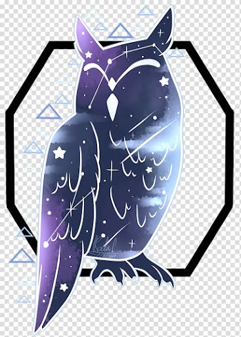 Bird Cat Vertebrate Animal, watercolor owl transparent background PNG clipart