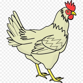 bird chicken rooster beak comb
