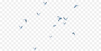 Bird Clip art - Flying bird 