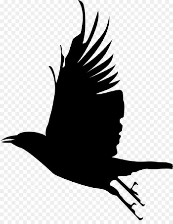 Bird Clip art Silhouette Crow Image -  