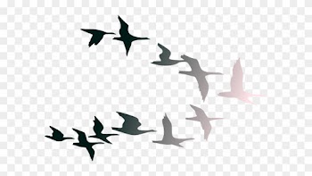 Bird Clipart Bird Fly - Clip Art