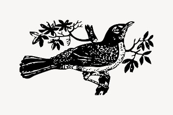 Bird clipart, vintage illustration vector. | Free Vector - rawpixel