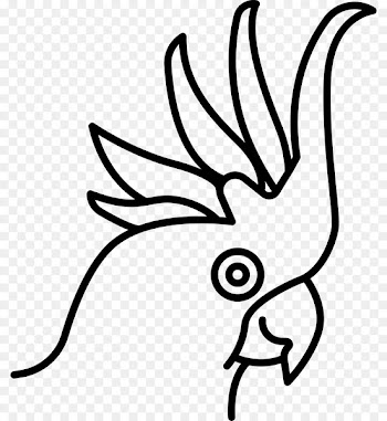 Bird Cockatoo Computer Icons Clip art Vector graphics - bird 