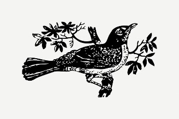 Bird collage element, black & | Free PSD - rawpixel
