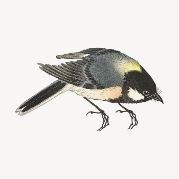 Bird collage element, Ohara Koson's | Free PSD Illustration - rawpixel