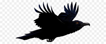 Bird Common raven Clip art - Raven PNG Vector Clipart Picture 