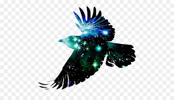 Bird Common raven Desktop Wallpaper Crow Flight - raven 