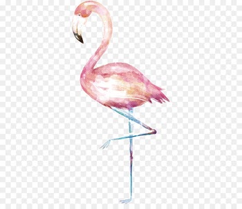 Bird Computer file - Flamingos pattern 